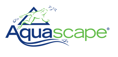 Aquascape