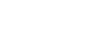 Mostly blank white rectangle with a thin dark horizontal line across the middle.