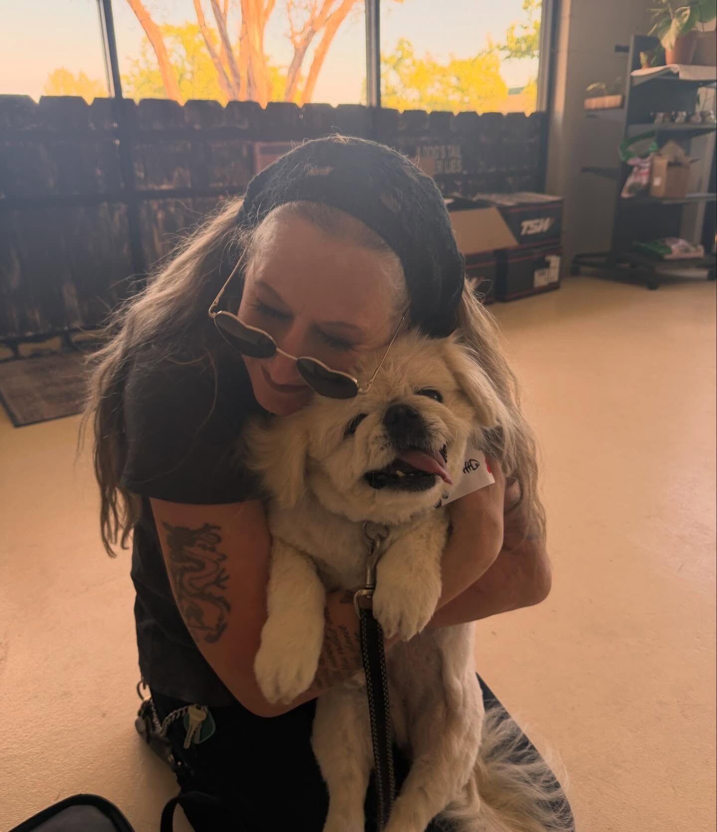 Person hugging a fluffy dog indoors, with sunglasses and warm sunlight in the background