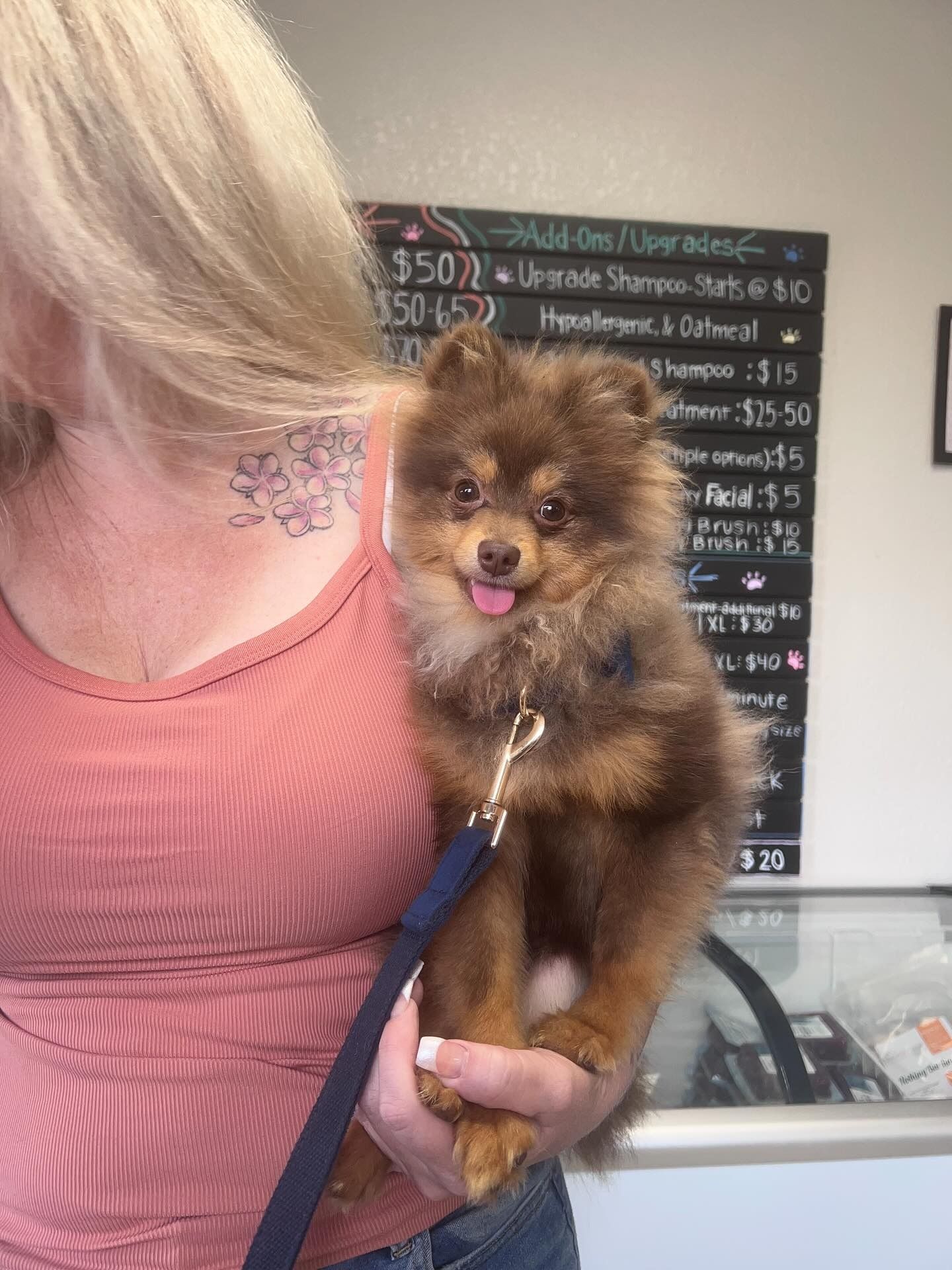 Small fluffy brown dog on a leash, being held indoors in front of a chalkboard menu.