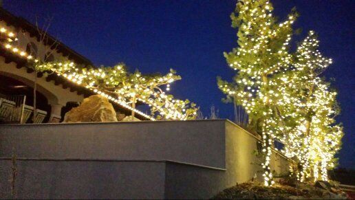 A house and trees outlined with warm white holiday lights against a dark evening sky
