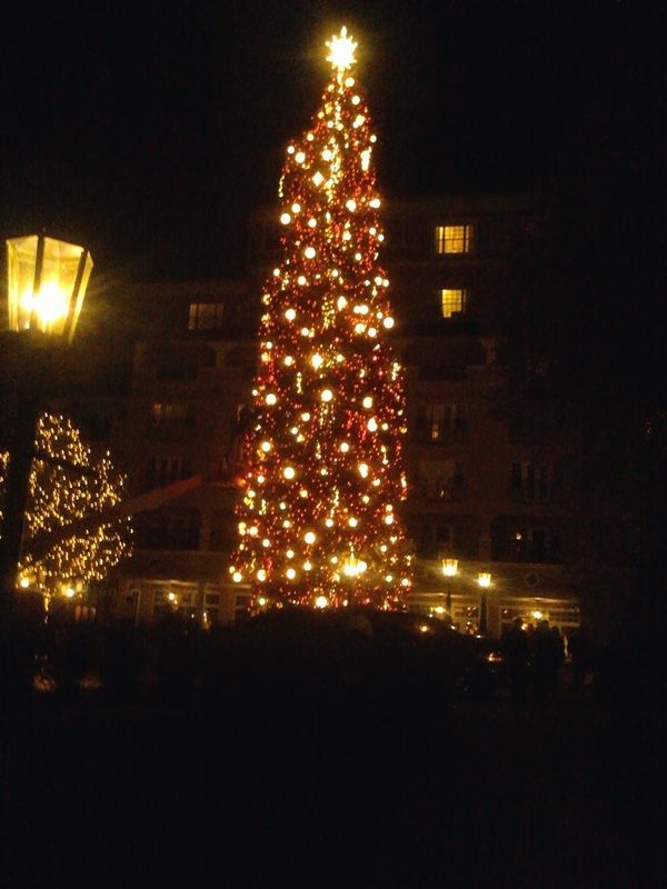 Lit Christmas tree with glowing lights and star topper at night near a streetlamp