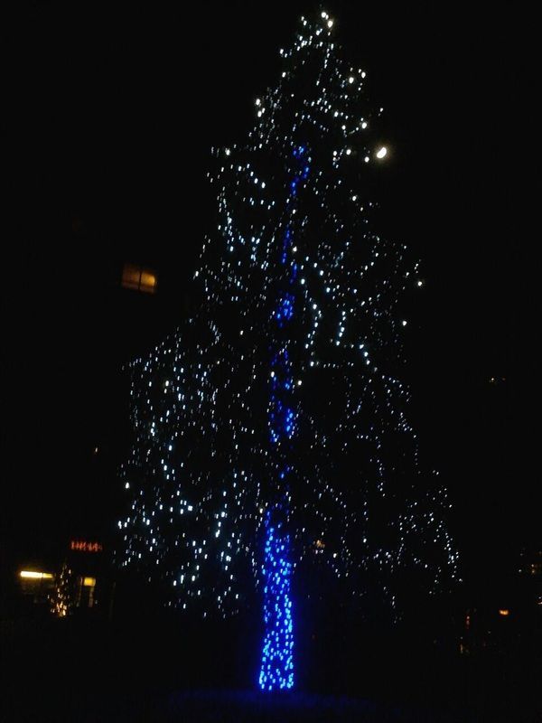 Tree wrapped in blue and white lights glowing against a dark night sky.