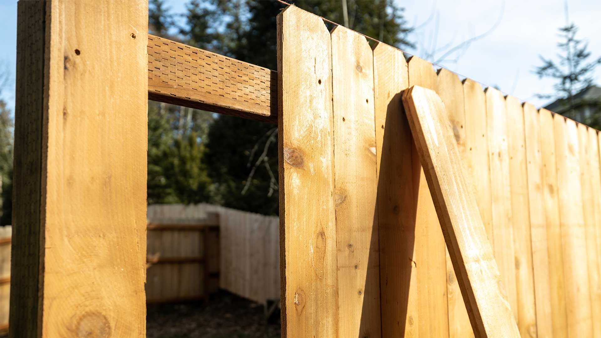 Wooden backyard fence panels in warm sunlight, with trees and sky in the background
