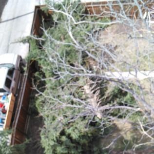 Overhead view of a parked white truck beside bare trees and a fenced yard