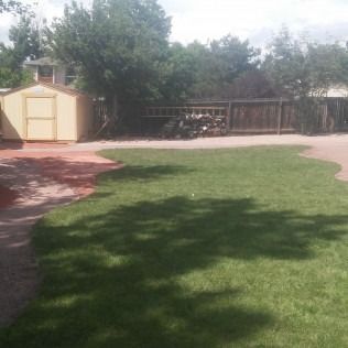 Backyard with green lawn, wooden fence, trees, and a small shed on a sunny day