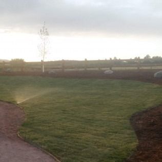 Grassy park path with a young tree, bordered by dark mulch under a cloudy sunset sky