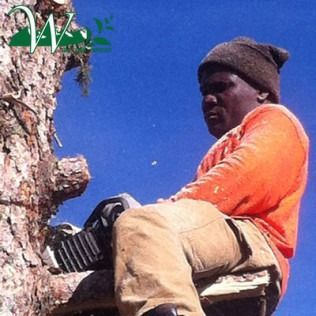 Person in an orange shirt and beanie sits on a wooden ledge beside a tree against a blue sky.