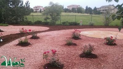 Curved red gravel garden beds with small rose bushes, backed by a fence, green field, and houses beyond.