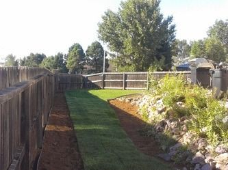 Backyard with green lawn, wooden fence, rock garden, and tall trees in sunlight