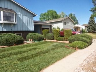 Suburban homes with manicured lawns and trimmed shrubs along a sidewalk on a sunny day