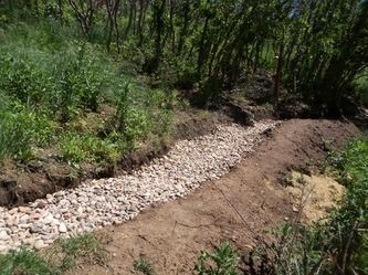 Rocky drainage channel cutting through a wooded dirt path in a green forest area