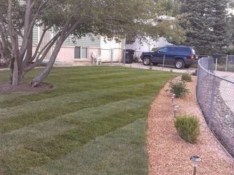 Backyard with striped lawn, trees, gravel border, fence, and a blue SUV near a house