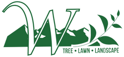 Green logo with stylized &ldquo;W&rdquo; and leaves, reading &ldquo;Tree &bull; Lawn &bull; Landscape&rdquo;