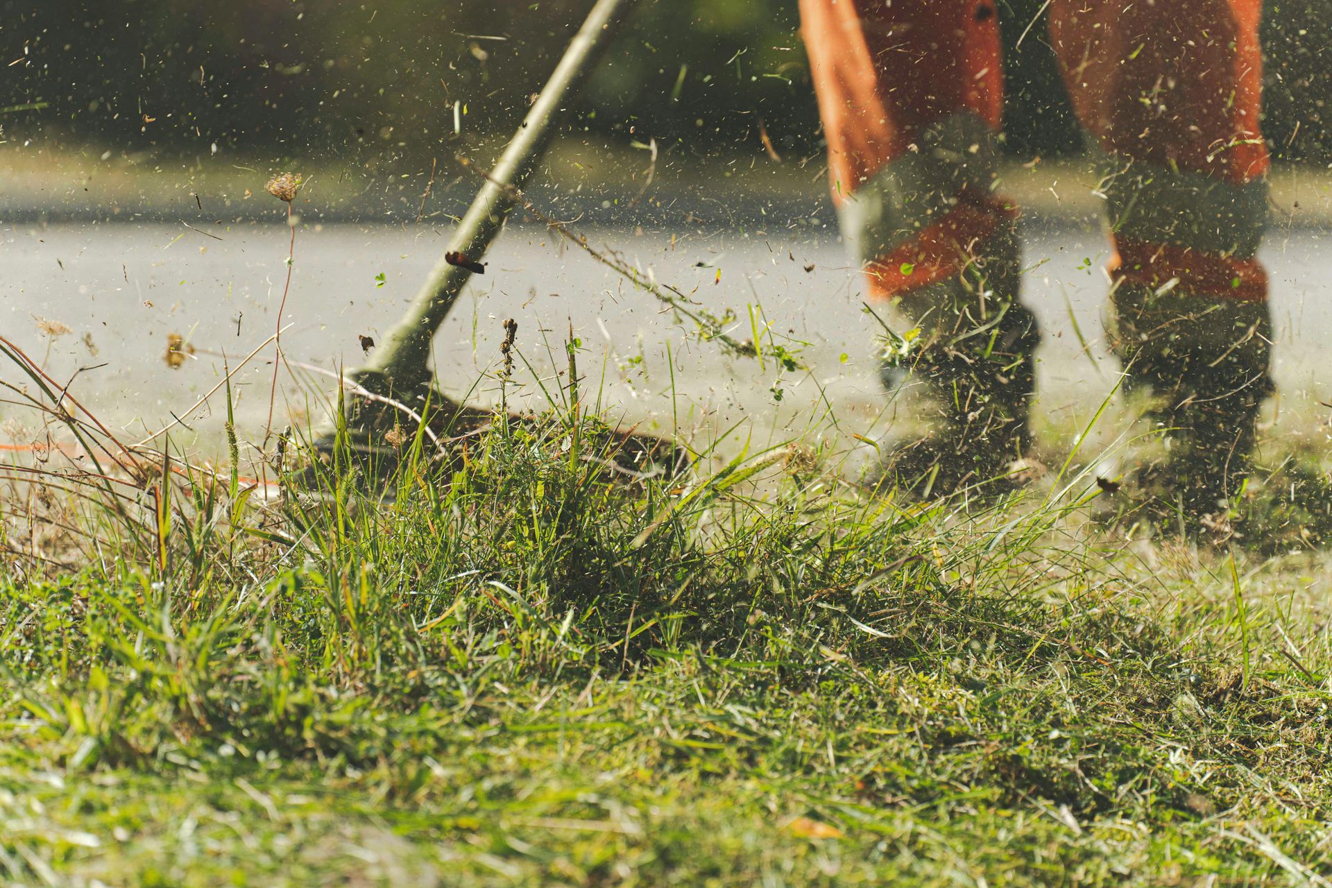 Person using a string trimmer cuts wet grass, spraying clippings in a yard.