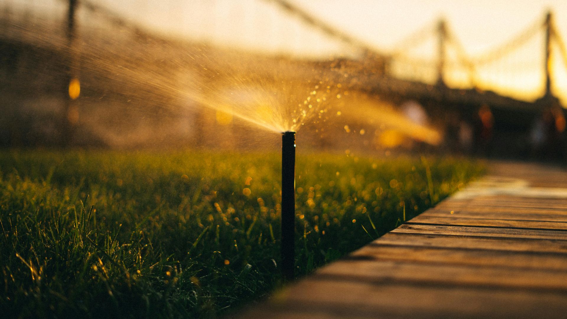 Garden sprinkler misting grass beside a wooden path at sunset, with warm golden light.