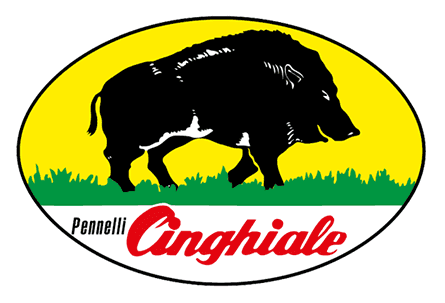 pennelli cinghiale