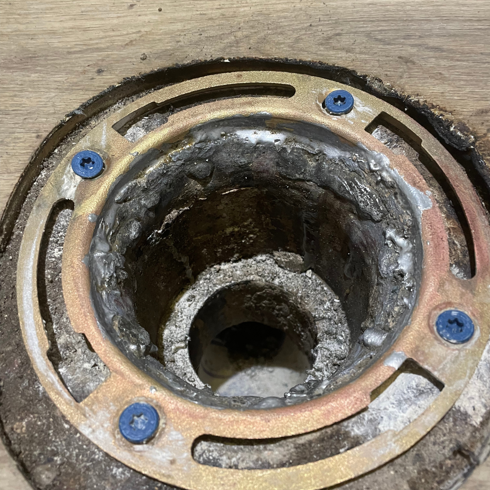 Toilet flange with rusted metal ring and blue screws, visible drain pipe, concrete around the edges.