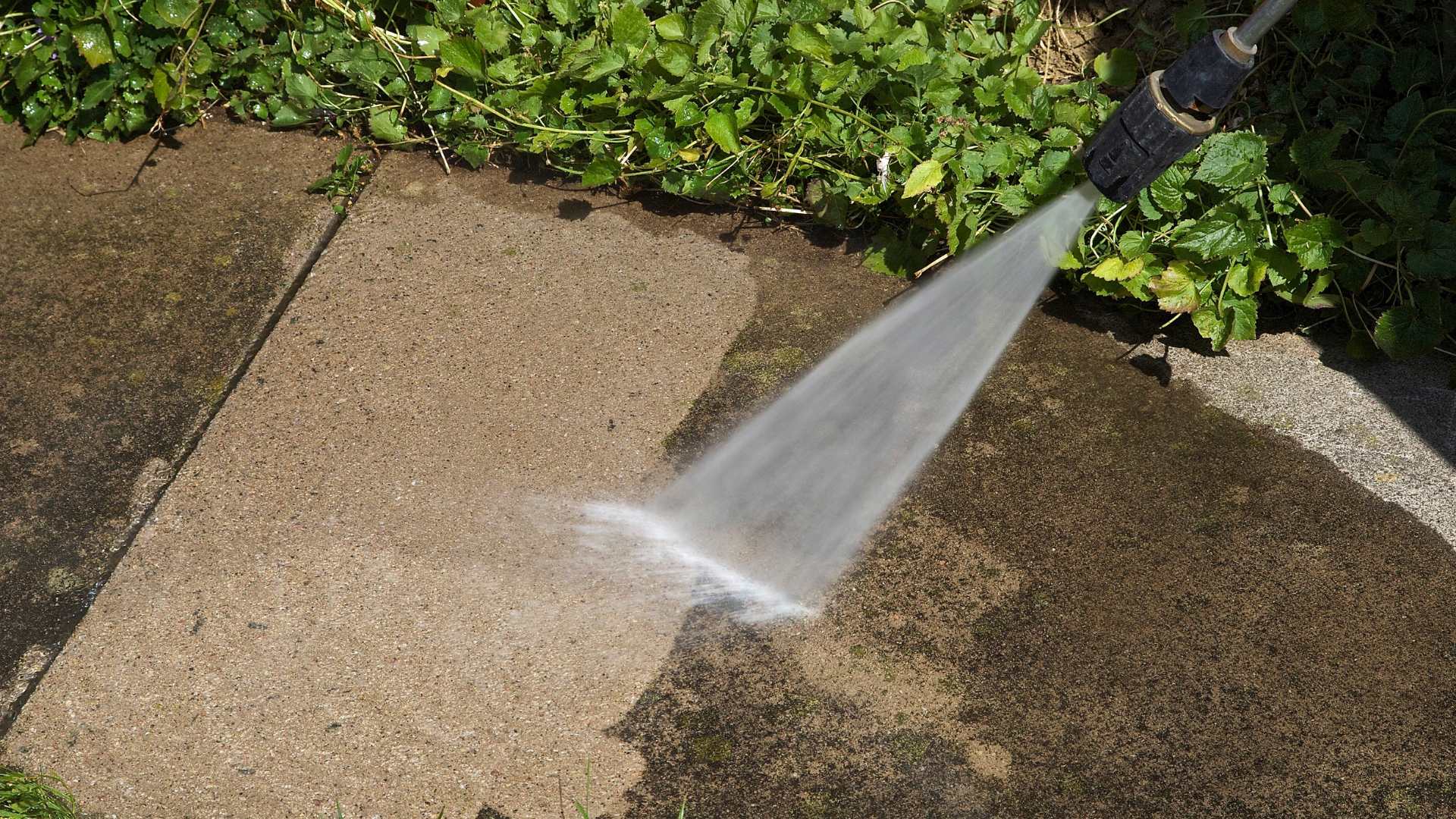 Professional house washing service for a fresh and clean exterior