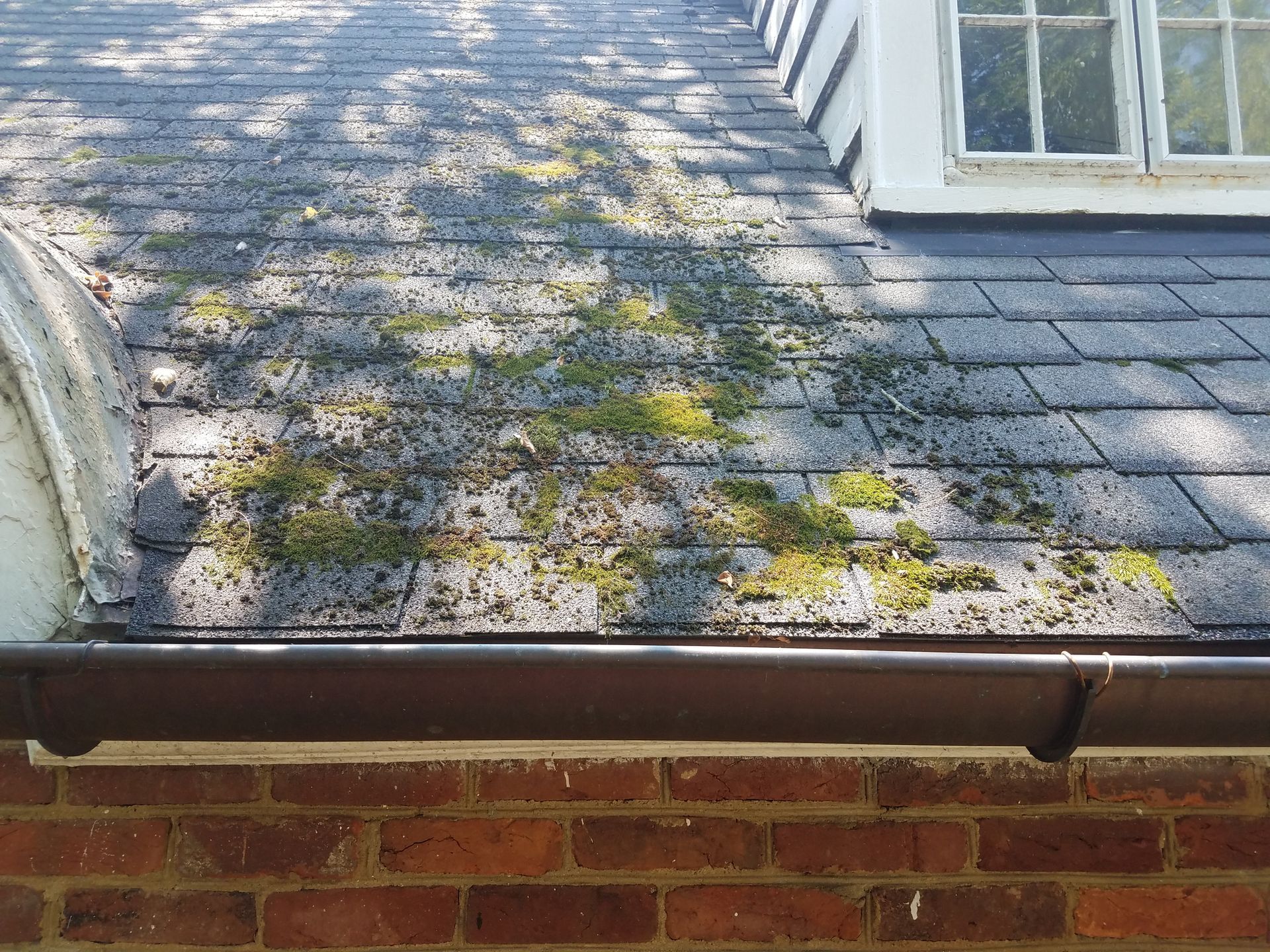 Moss on the roof | Sacramento, CA| CA Commercial & Residential Roofing