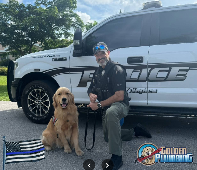owner with the dog