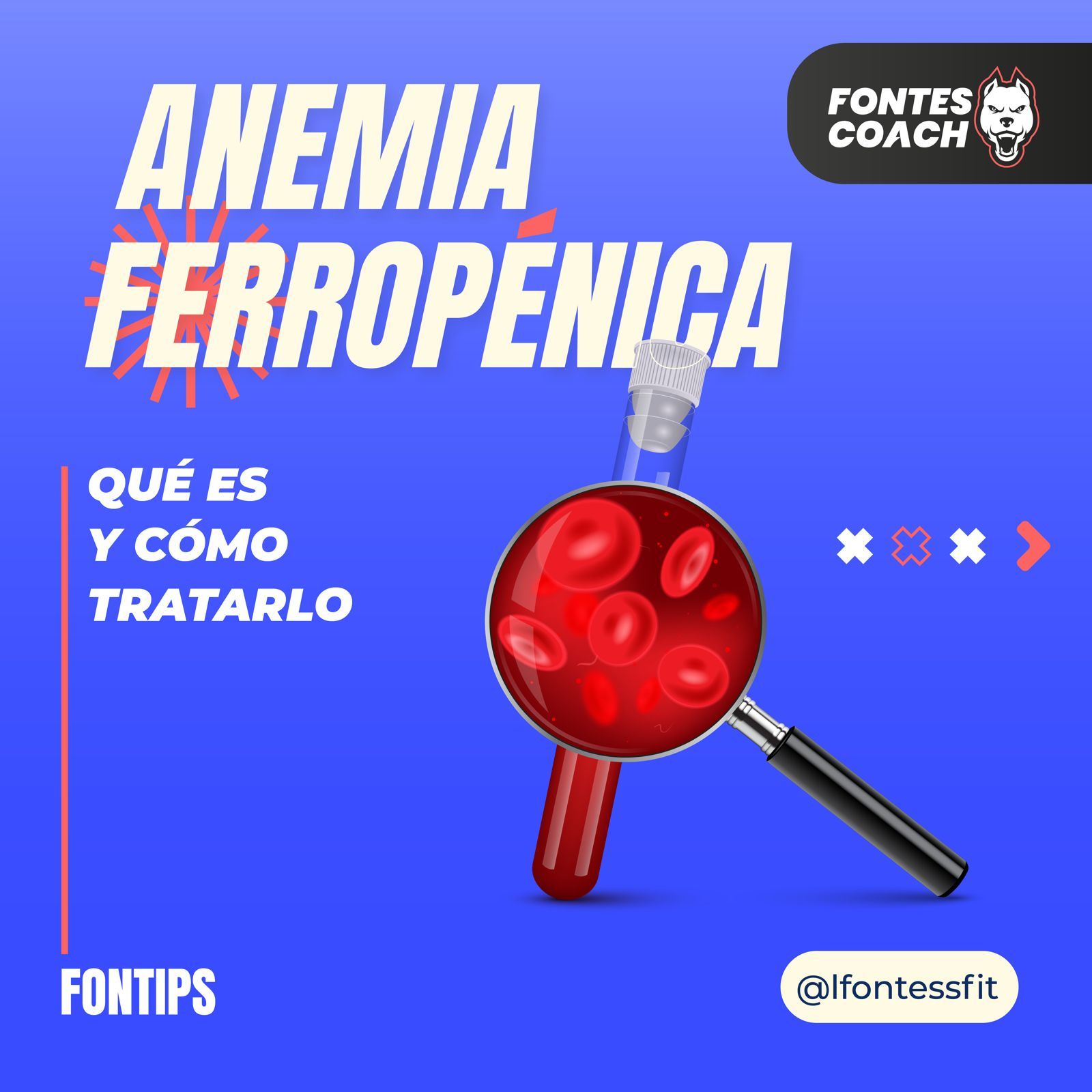 LUIS FONTES
