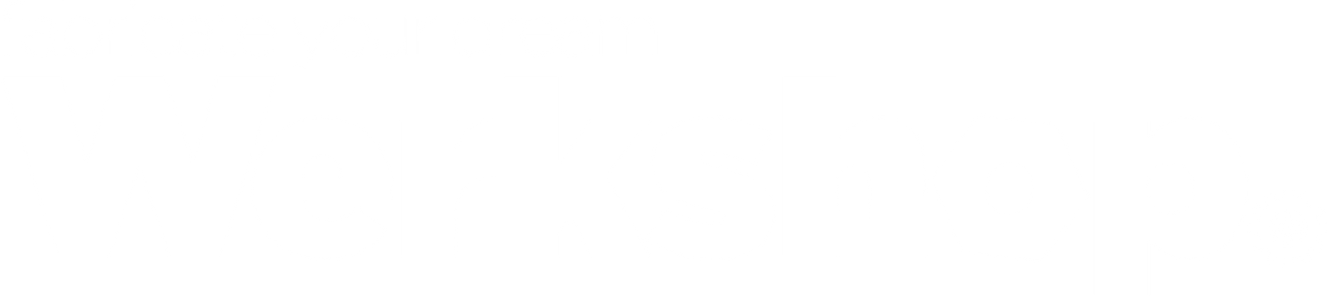 Blank white rectangle on a white background with a thin gray border at the top and bottom