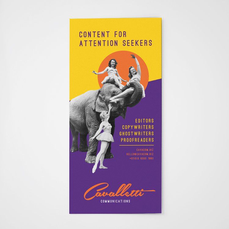 Close up of DL Flyer for Cavalletti Communications