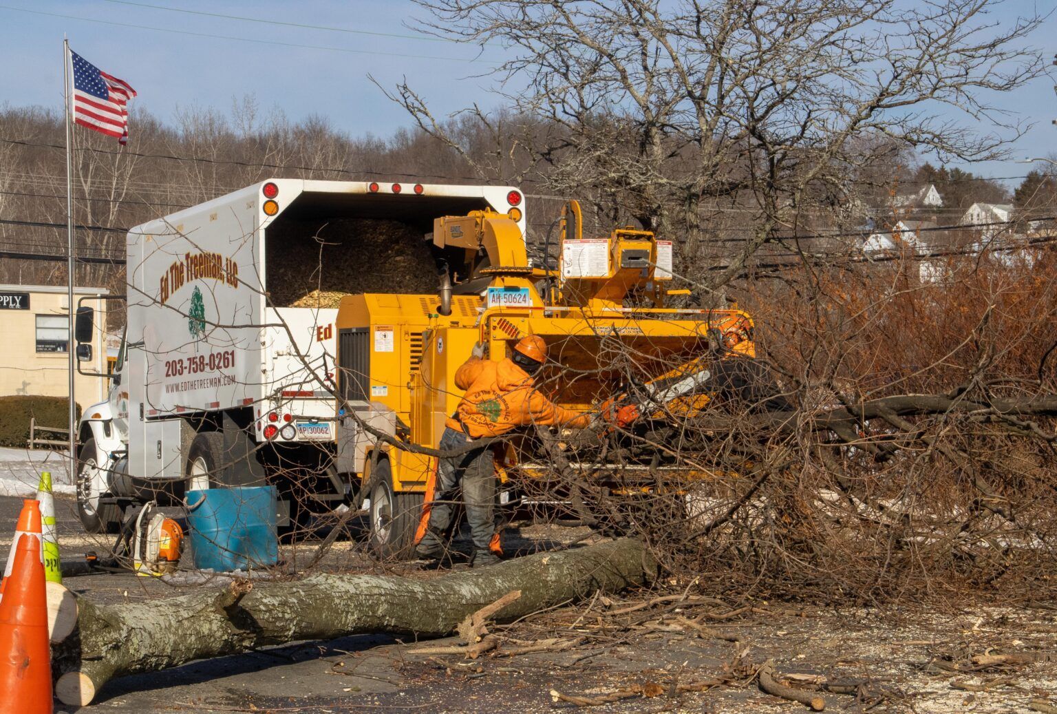 Tree Removal in Waterbury, CT | Ed the Tree Man, LLC Tree Removal in Waterbury, CT | Ed the Tree Man, LLC