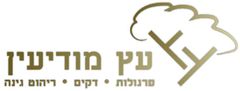 עץ מודיעין עץ מודיעין
