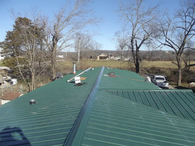 Green metal roof with rooftop vents, trees, and a rural landscape beyond.