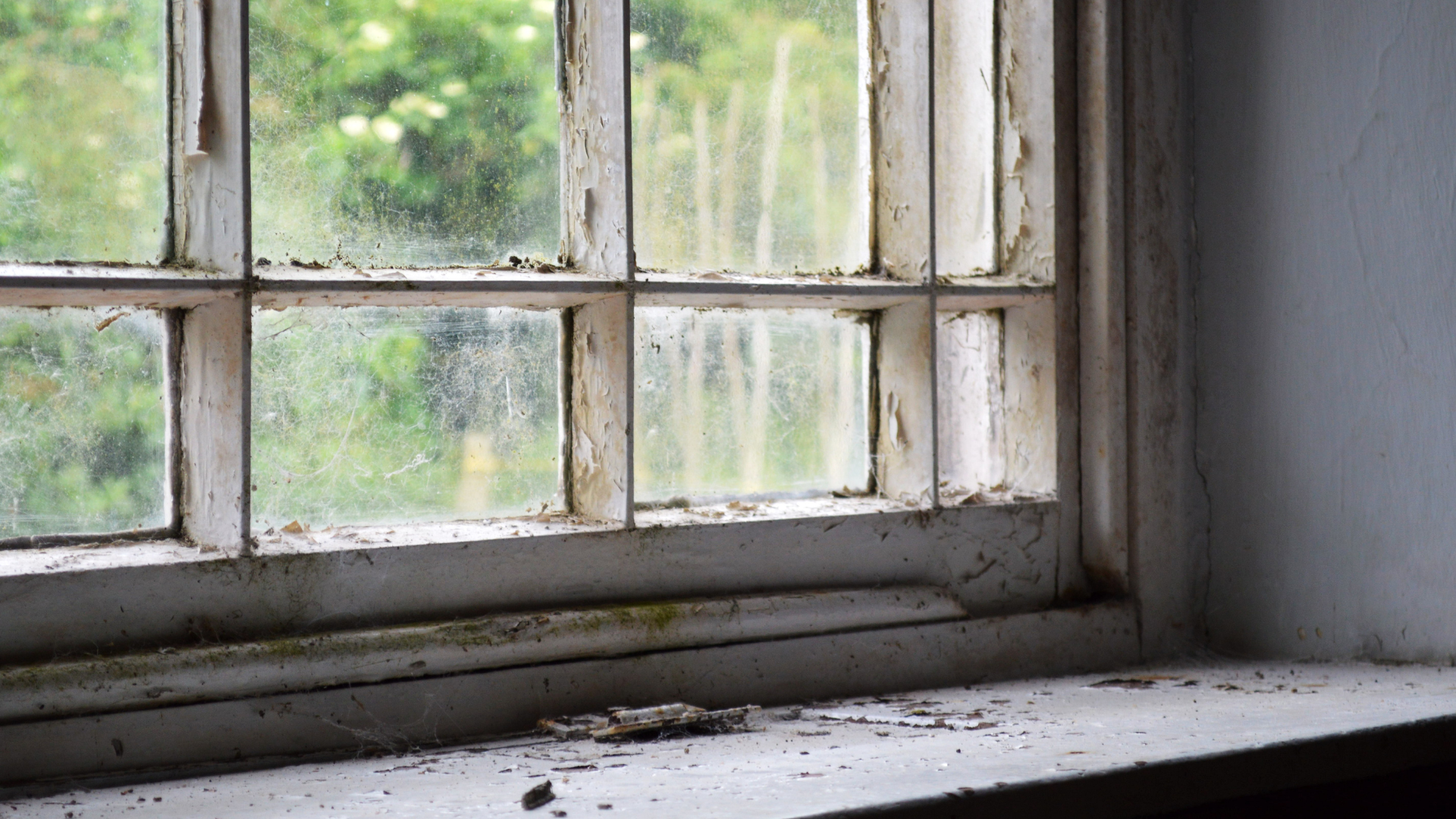 Dusty windowsill beside an old multi-pane window with peeling paint and blurred greenery outside