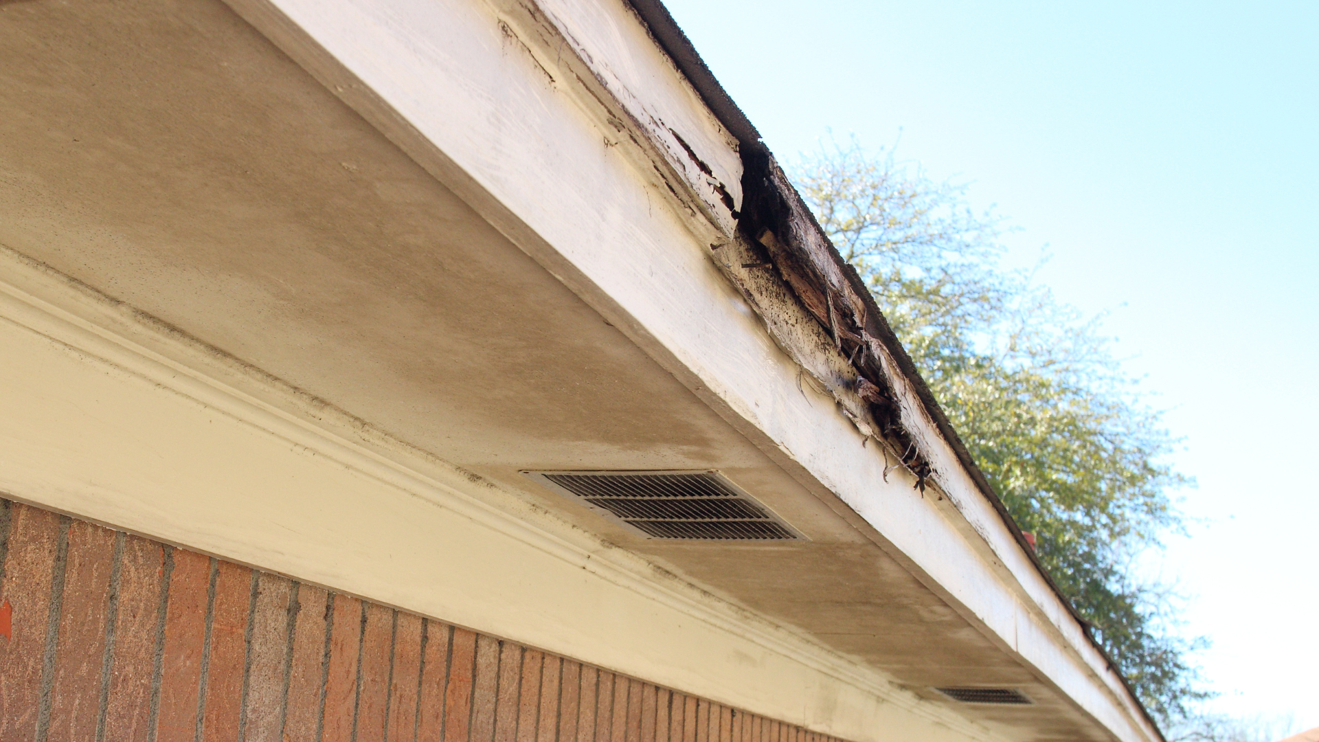 Close-up of a building roof edge with peeling paint, a gutter, and brick wall below.