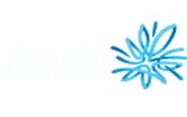 Amp Brand