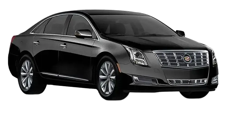 Executive Sedan — photo 3