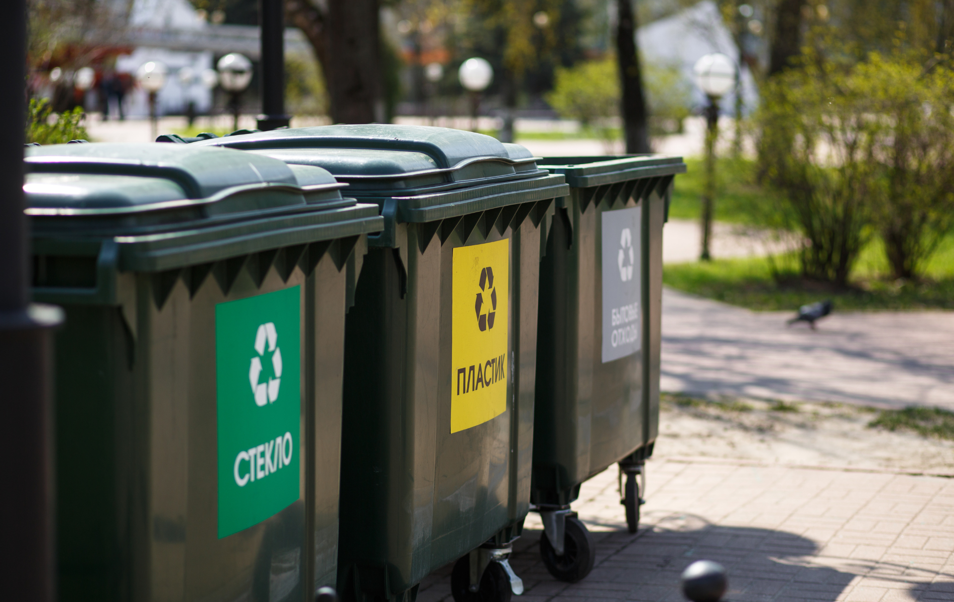 A row of trash cans are lined up on a sidewalk in a park.