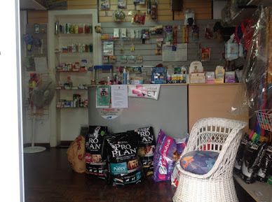 Un pequeño mostrador de una tienda de artículos para mascotas con bolsas de comida Pro Plan en el suelo y una silla de mimbre blanca a la derecha.