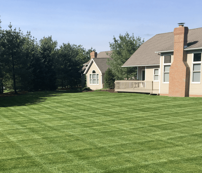 Lush green lawn with a checkerboard mowing pattern in front of a house and small outbuilding.