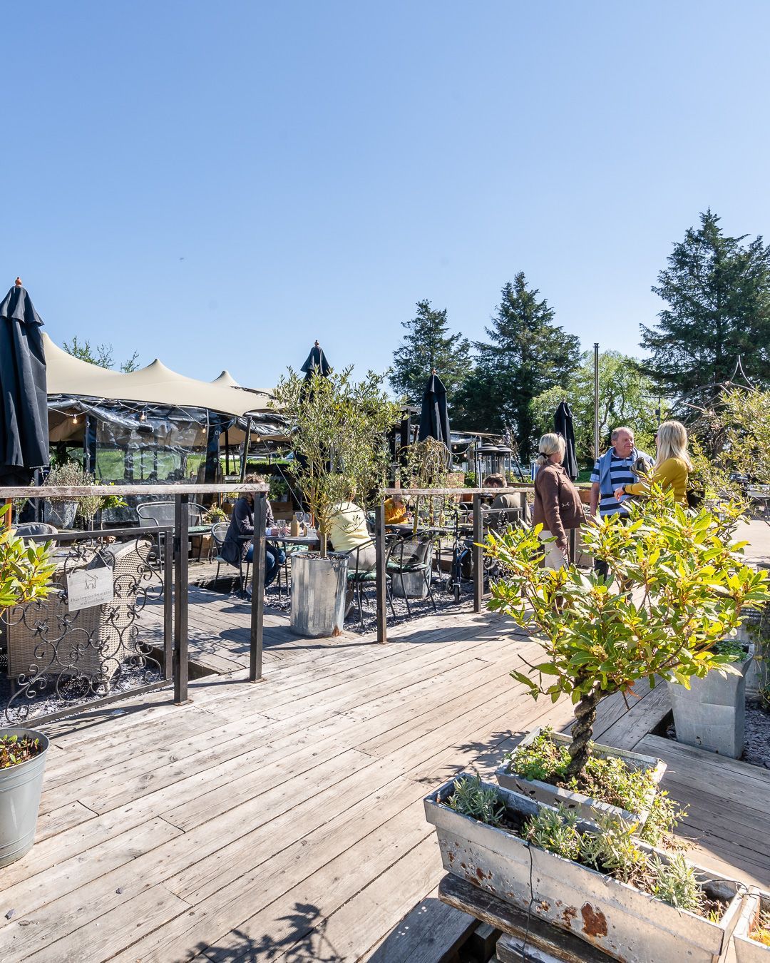 Outdoor cafe with wooden deck, tables, and people chatting under the sun.
