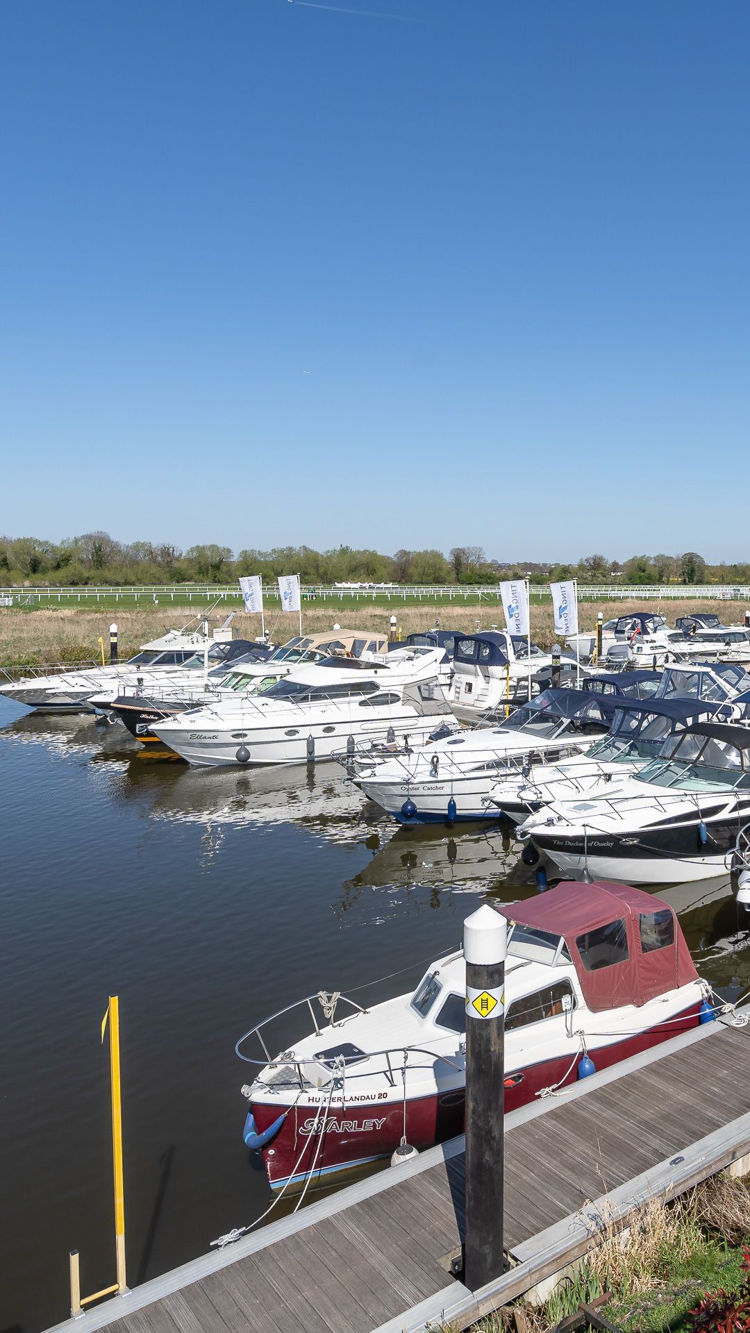 Boats docked in a harbor on a sunny day. A wooden pier and green foliage are visible.