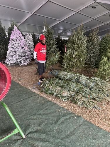 Person in a red shirt standing beside artificial Christmas trees in a store.