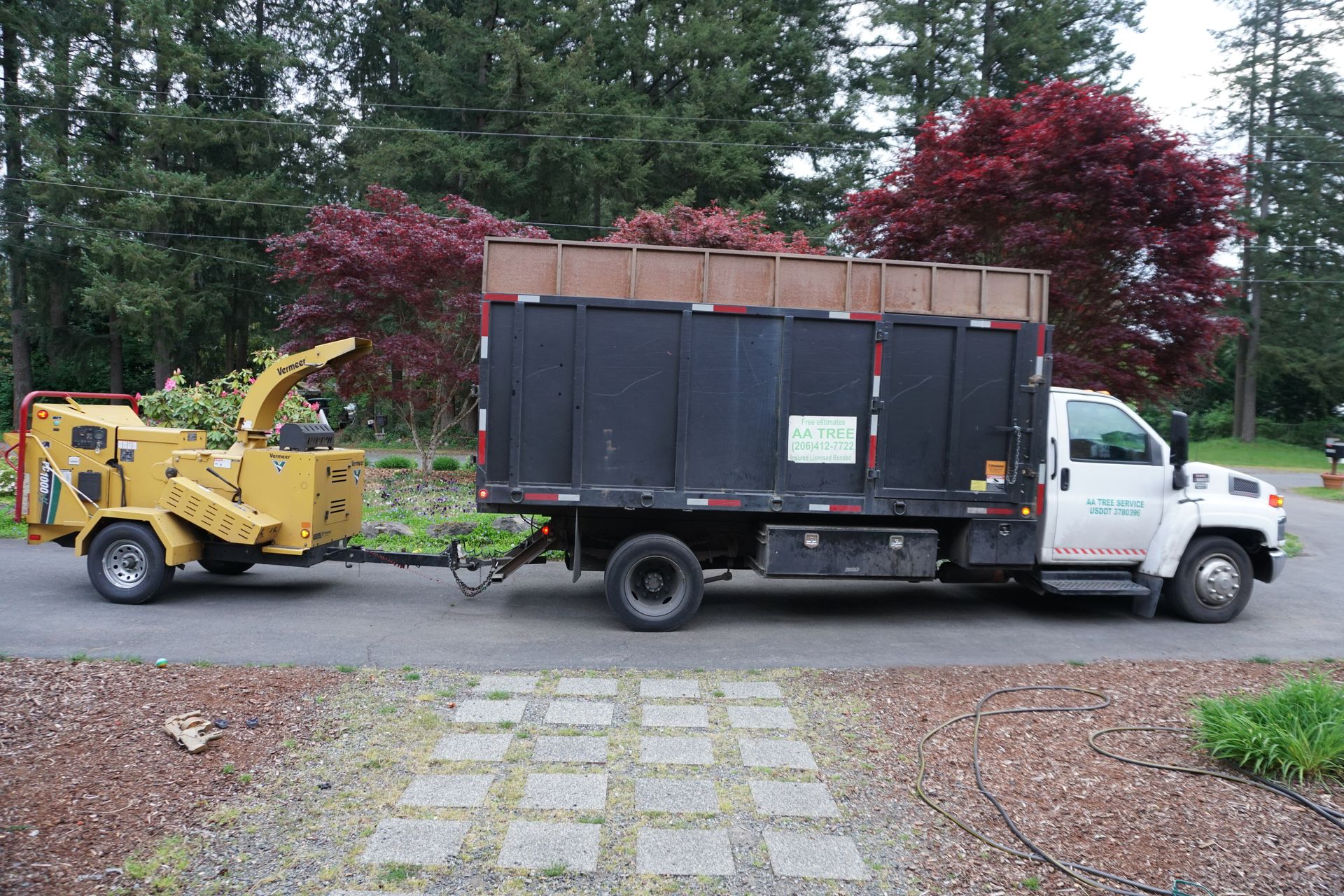 local tree service