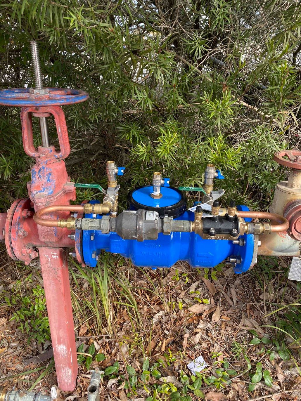 Blue and red water valve assembly outdoors beside dense greenery and leaves Blue and red water valve assembly outdoors beside dense greenery and leaves