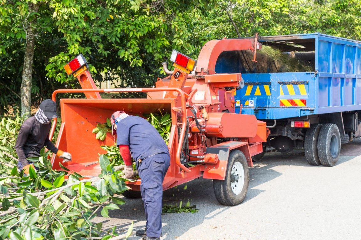 An image of two men using machinery for a tree Company in Vineyard CA.