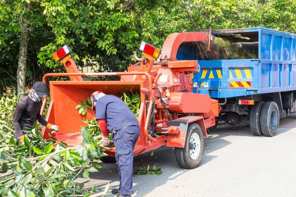 An image of two men using machinery for a tree Company in Vineyard CA.