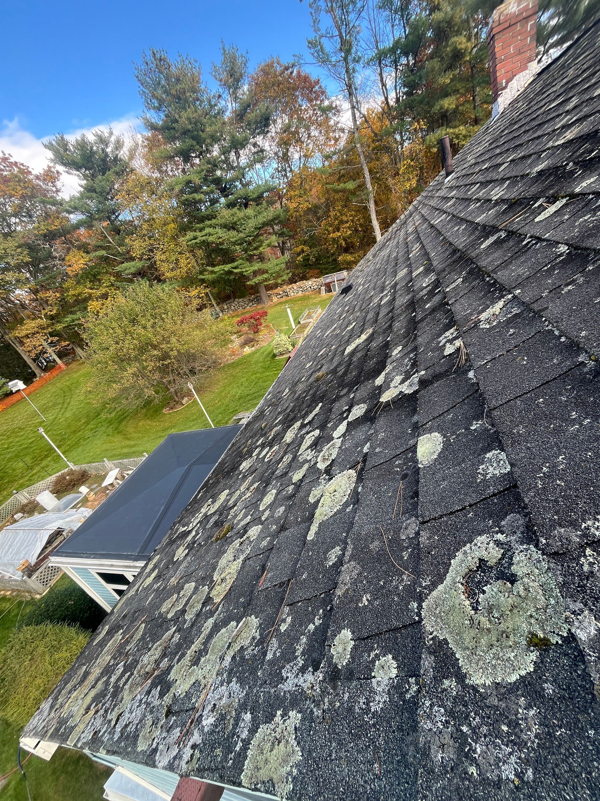 Close-up of a weathered shingled roof with moss, beside a yard with autumn trees and a blue sky