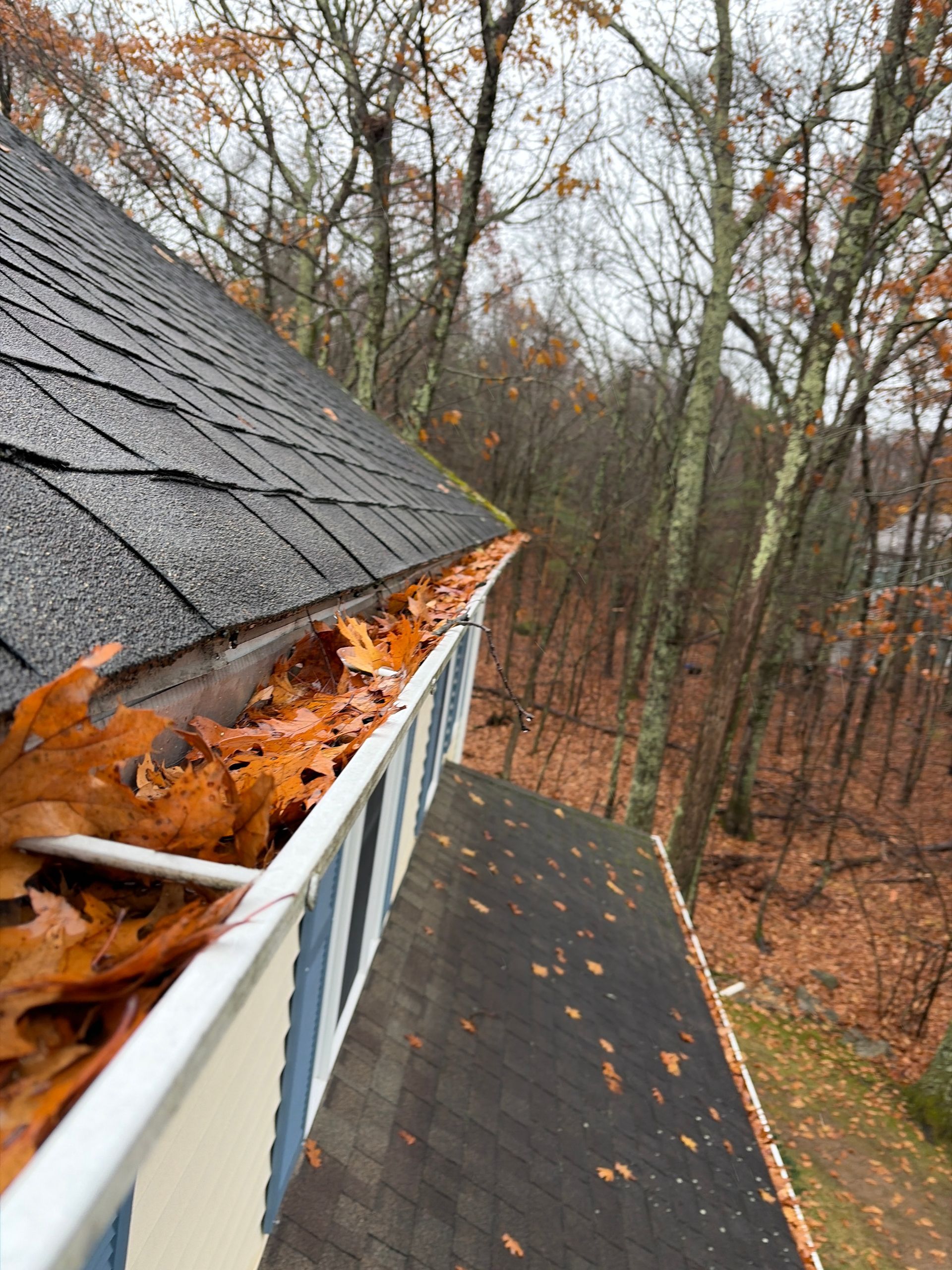 Leaf-filled roof gutter beside a shingled roof on a wooded hillside in autumn