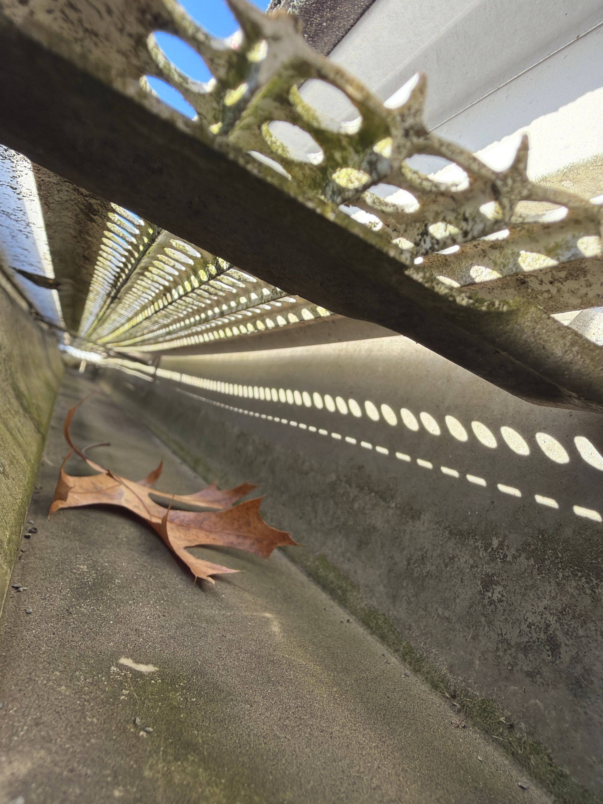 Dead leaf on a concrete ramp beside a perforated metal railing, with sunlight casting patterned shadows