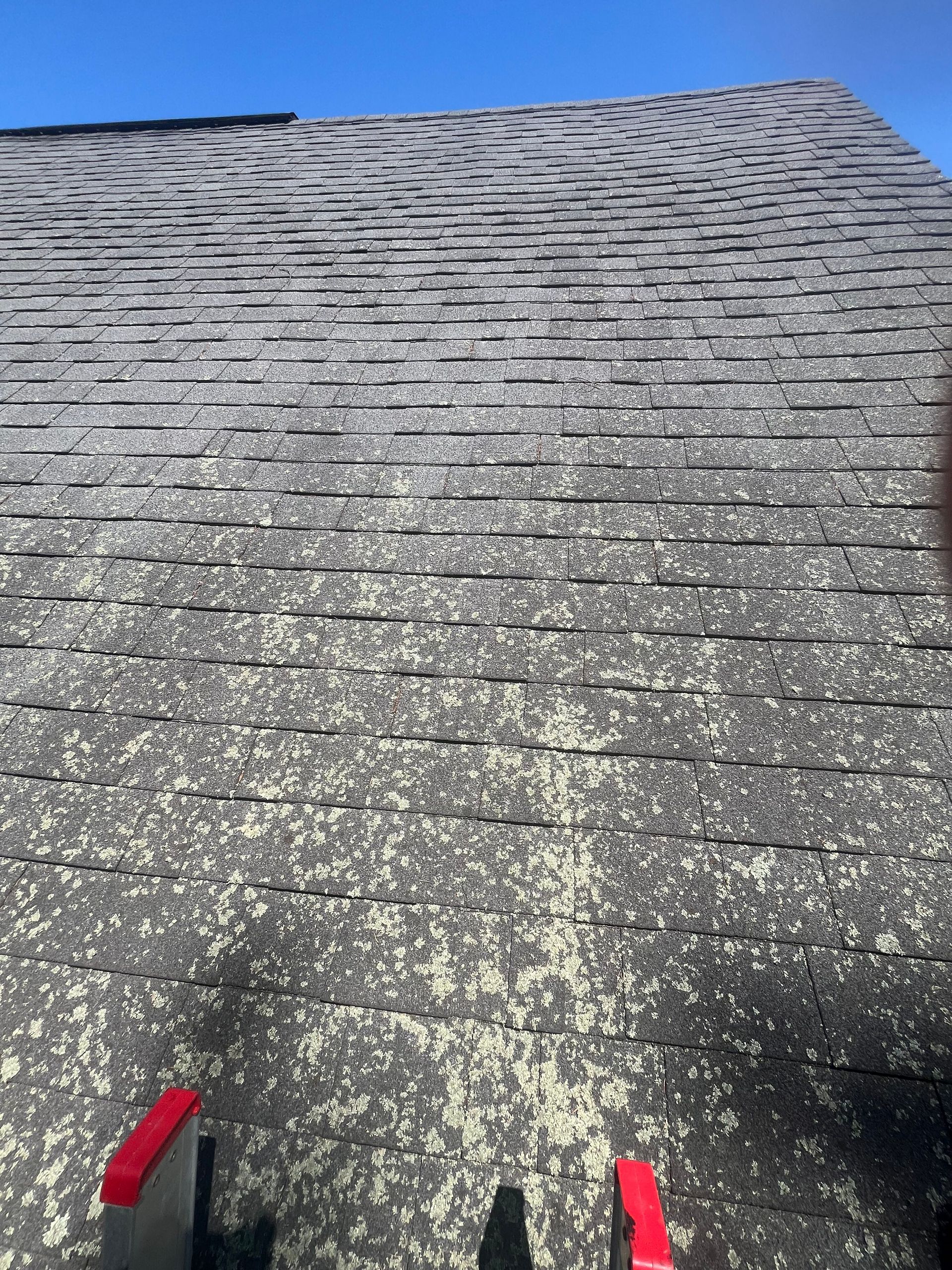 Close-up of a shingled roof with two red clips at the bottom edge