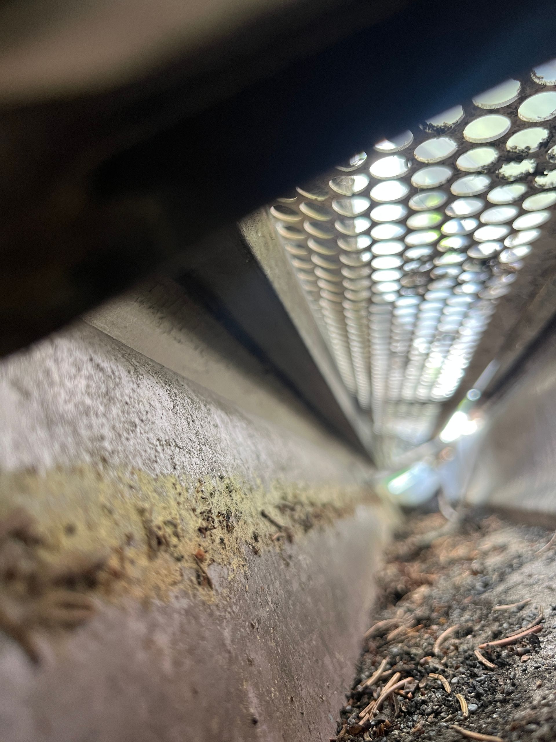 Close-up inside a dirty metal gutter with debris and a perforated cover above